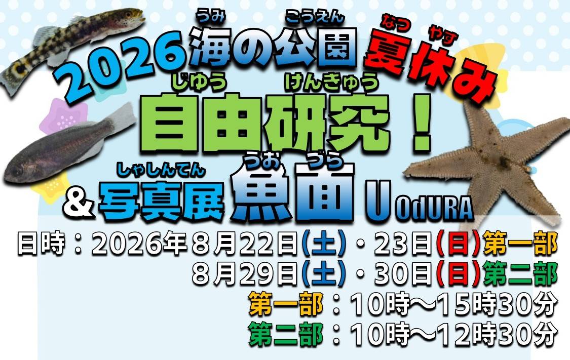 2026海の公園夏休み自由研究！＆ 写真展魚面の写真