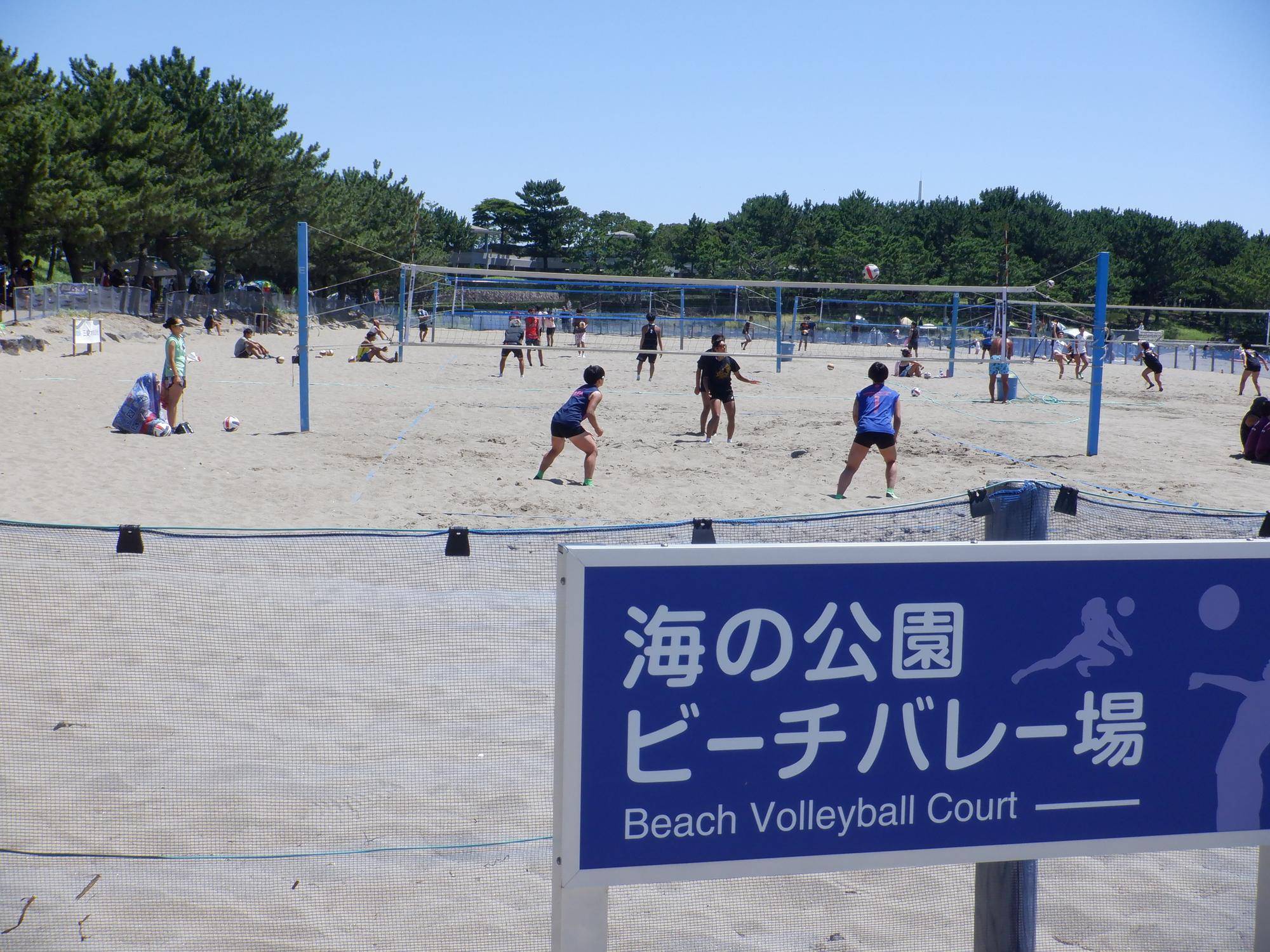 常設ビーチバレーコート改修工事のお知らせ【海の公園】の写真