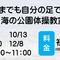 海の公園「いつまでも自分の足で歩こう！」体操教室！９月８日（火）の画像
