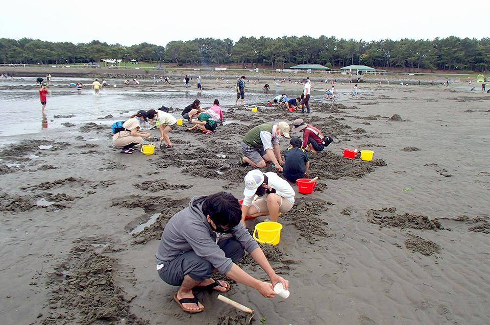 海の公園_親子講座5月.jpg