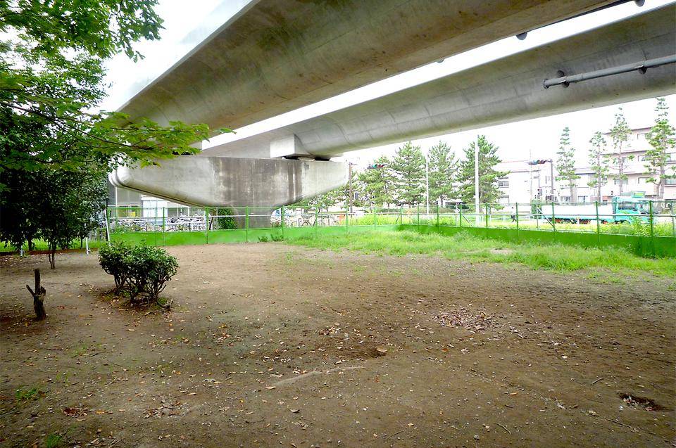 海の公園_ドッグラン2.jpg