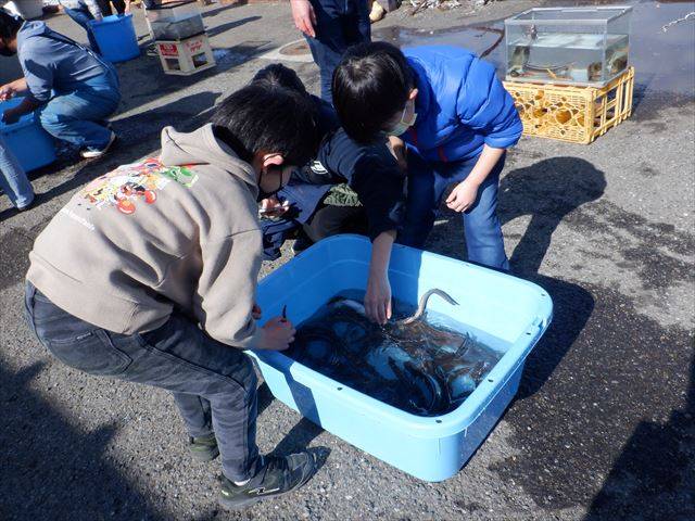 DSCF9939_R.jpg