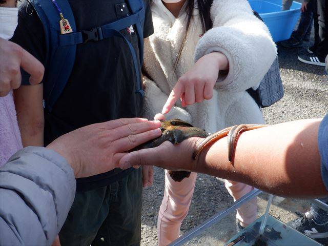 DSCF9941_R.jpg