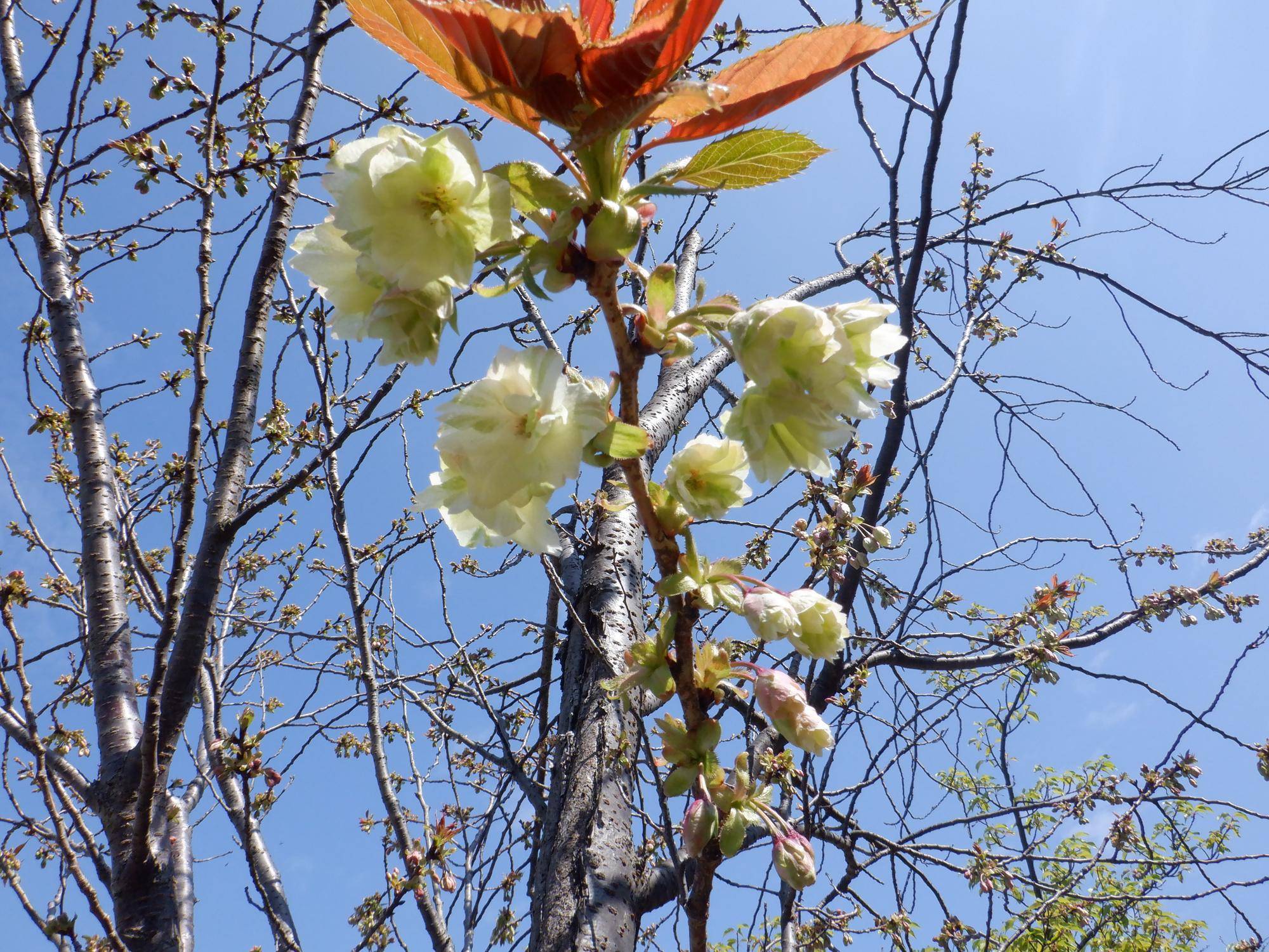 DSCF0855.jpg