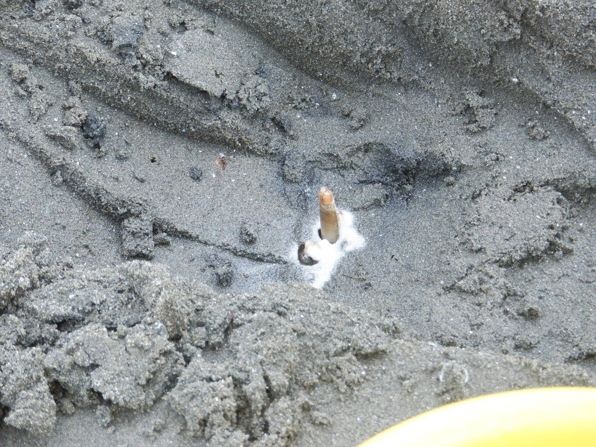 DSCF9858.jpg