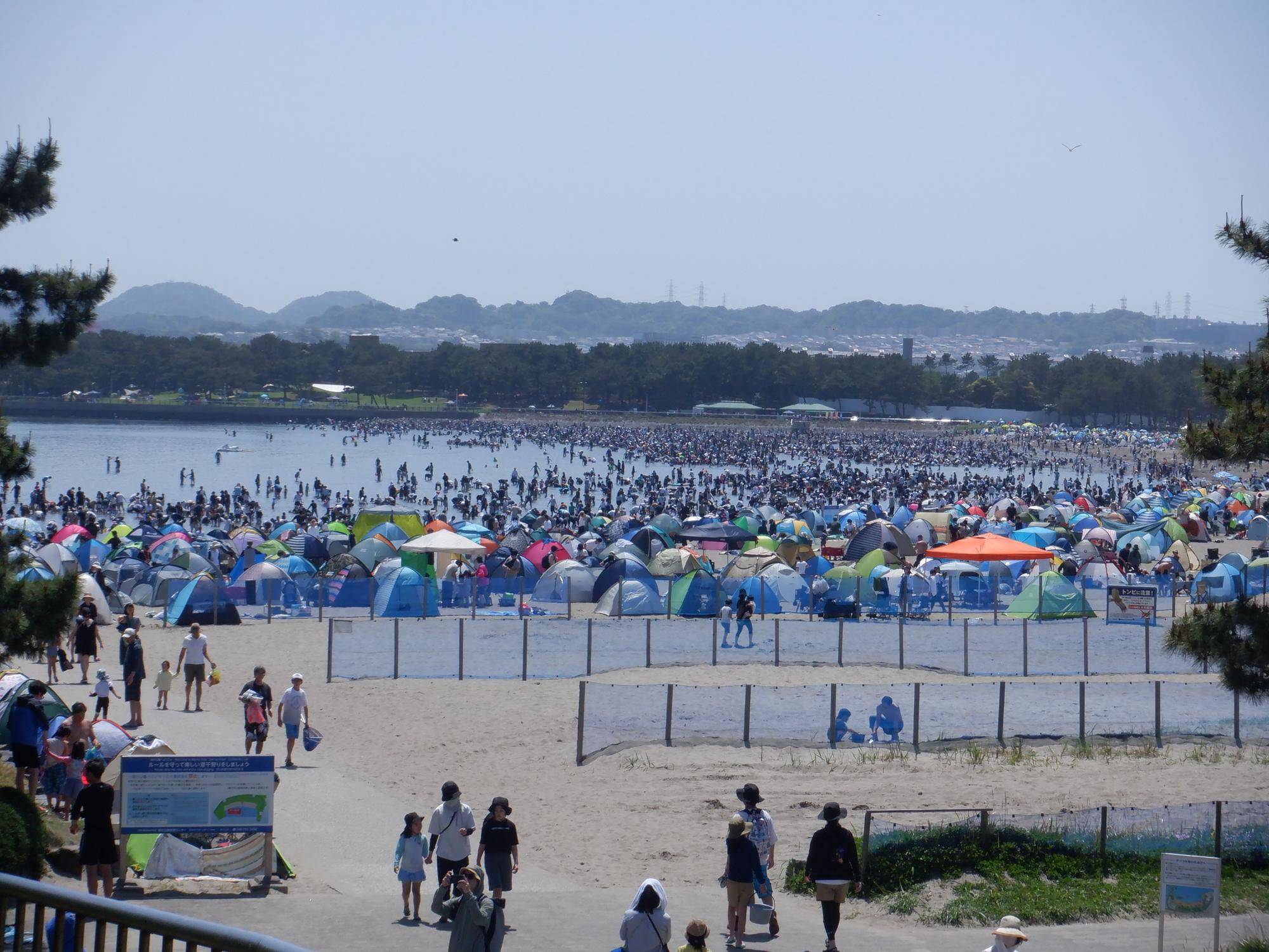 DSCF9619.jpg