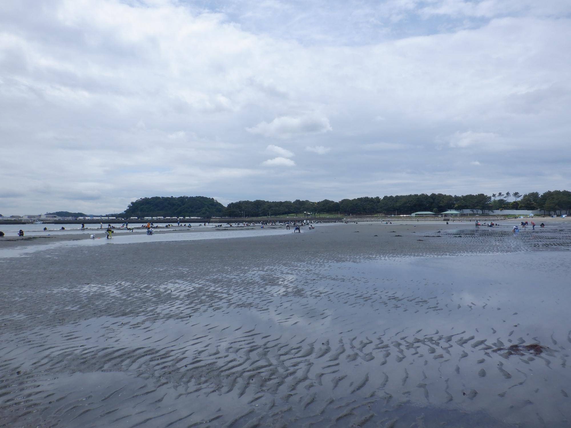 DSCF9787.jpg