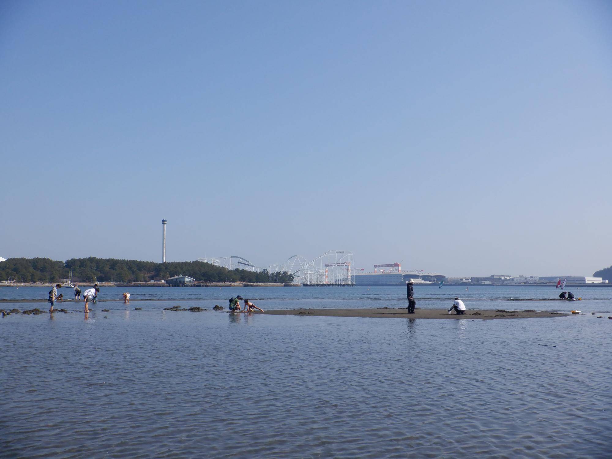 DSCF4842.jpg