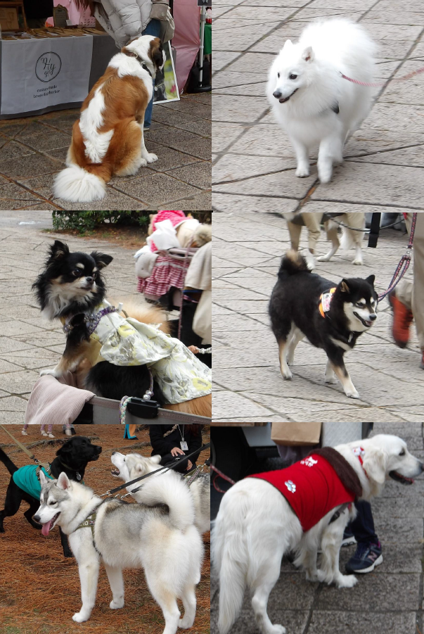 スクリーンショット 2025-12-21 162043.png