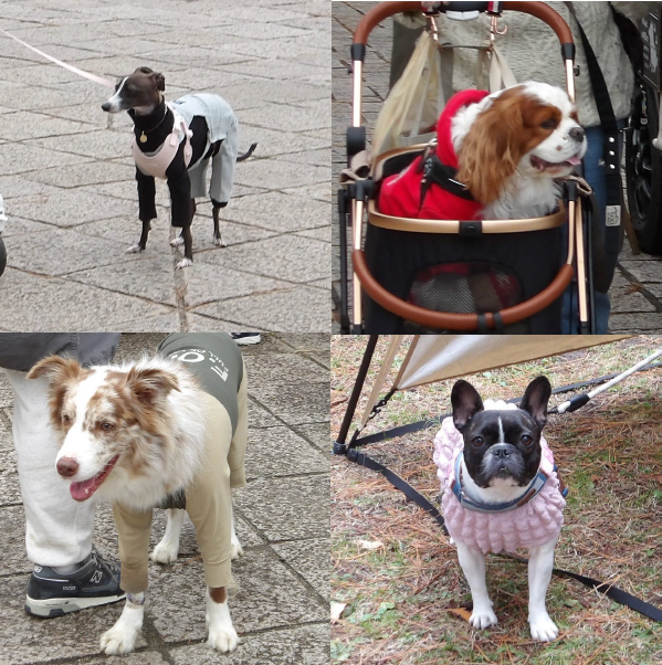 スクリーンショット 2025-12-21 162120.png