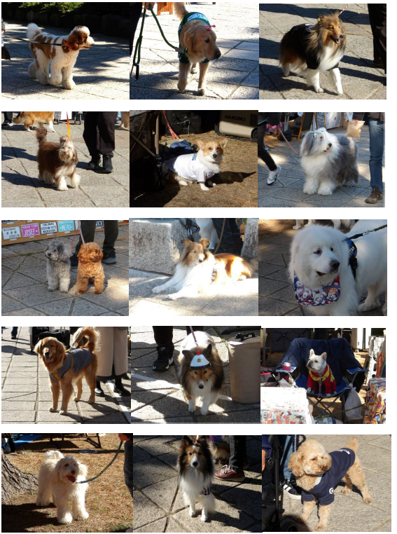 スクリーンショット 2026-01-12 152327.png