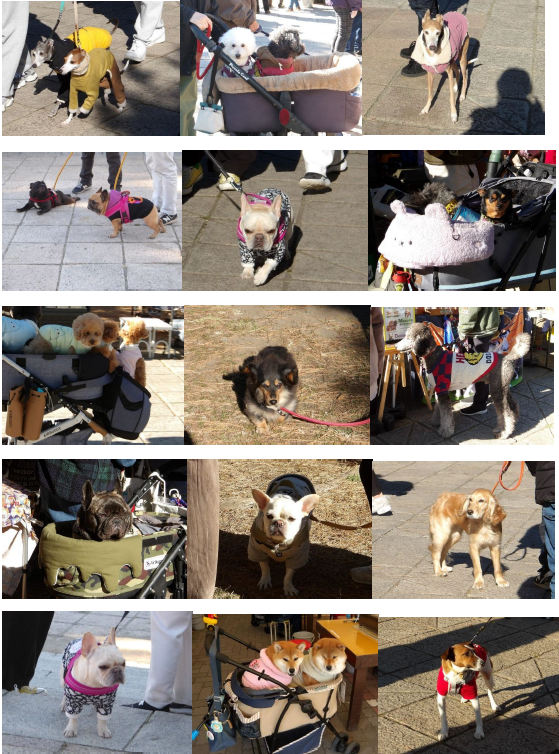 スクリーンショット 2026-01-12 152351.png