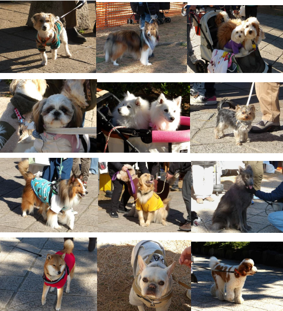 スクリーンショット 2026-01-12 152412.png