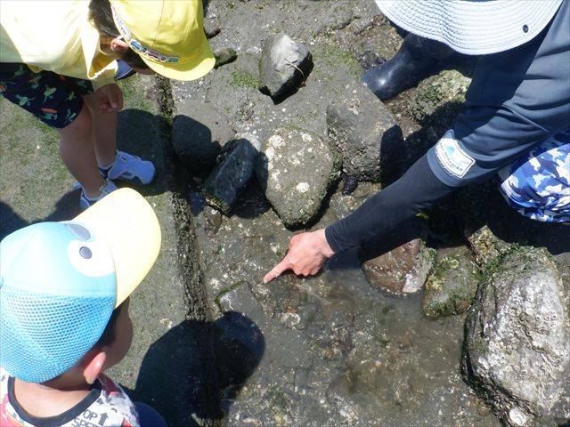 DSCF0412_R.jpg