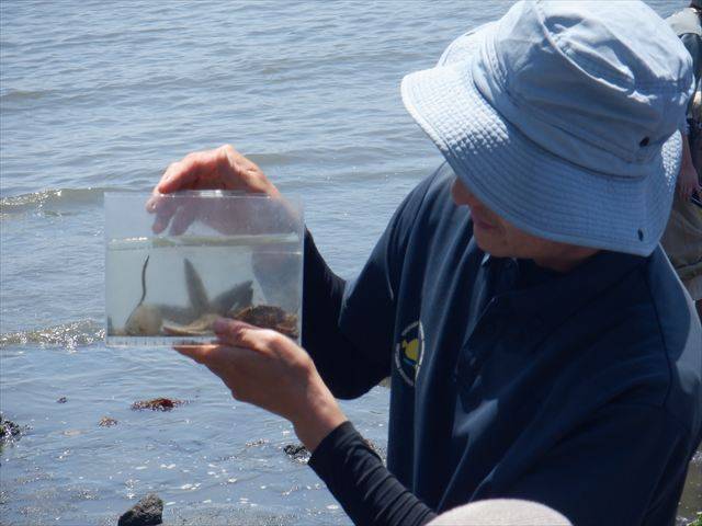 DSCF0432_R.jpg