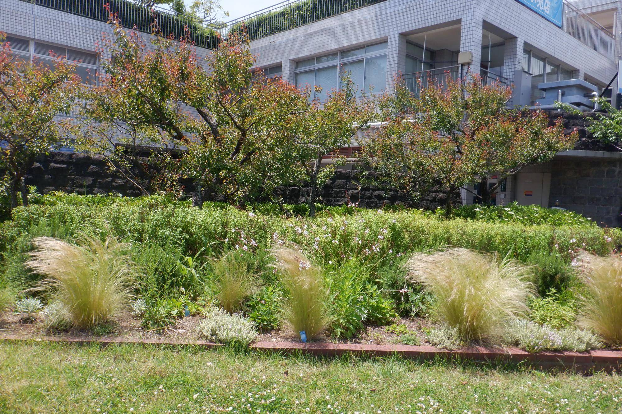 DSCF0476.jpg