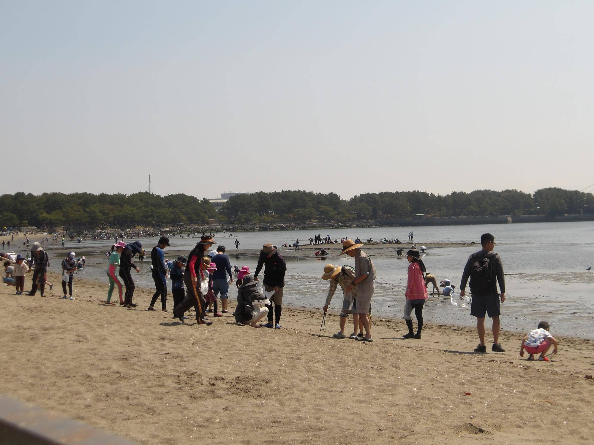 IMGP0523.jpg