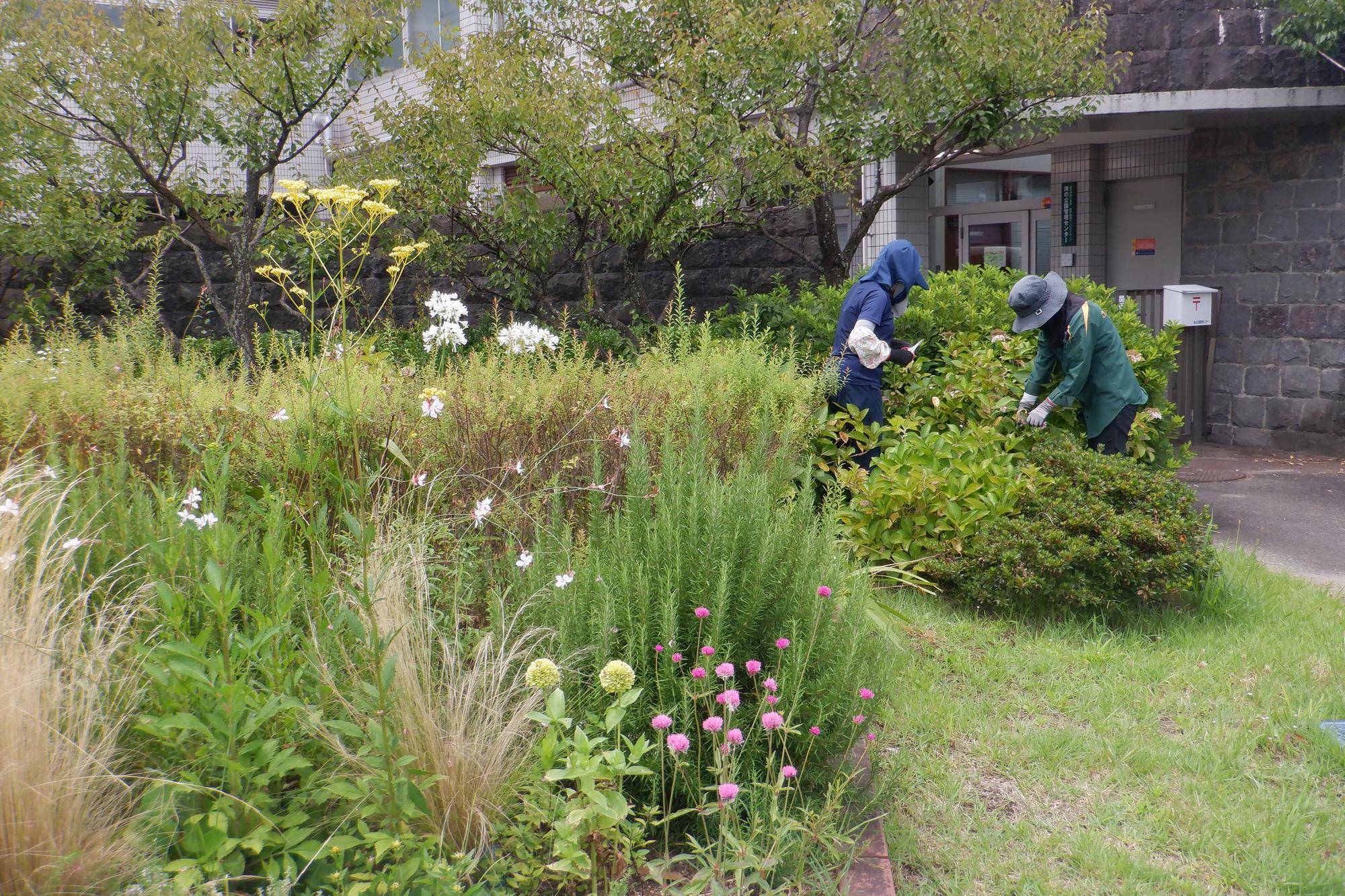 DSCF0927.jpg