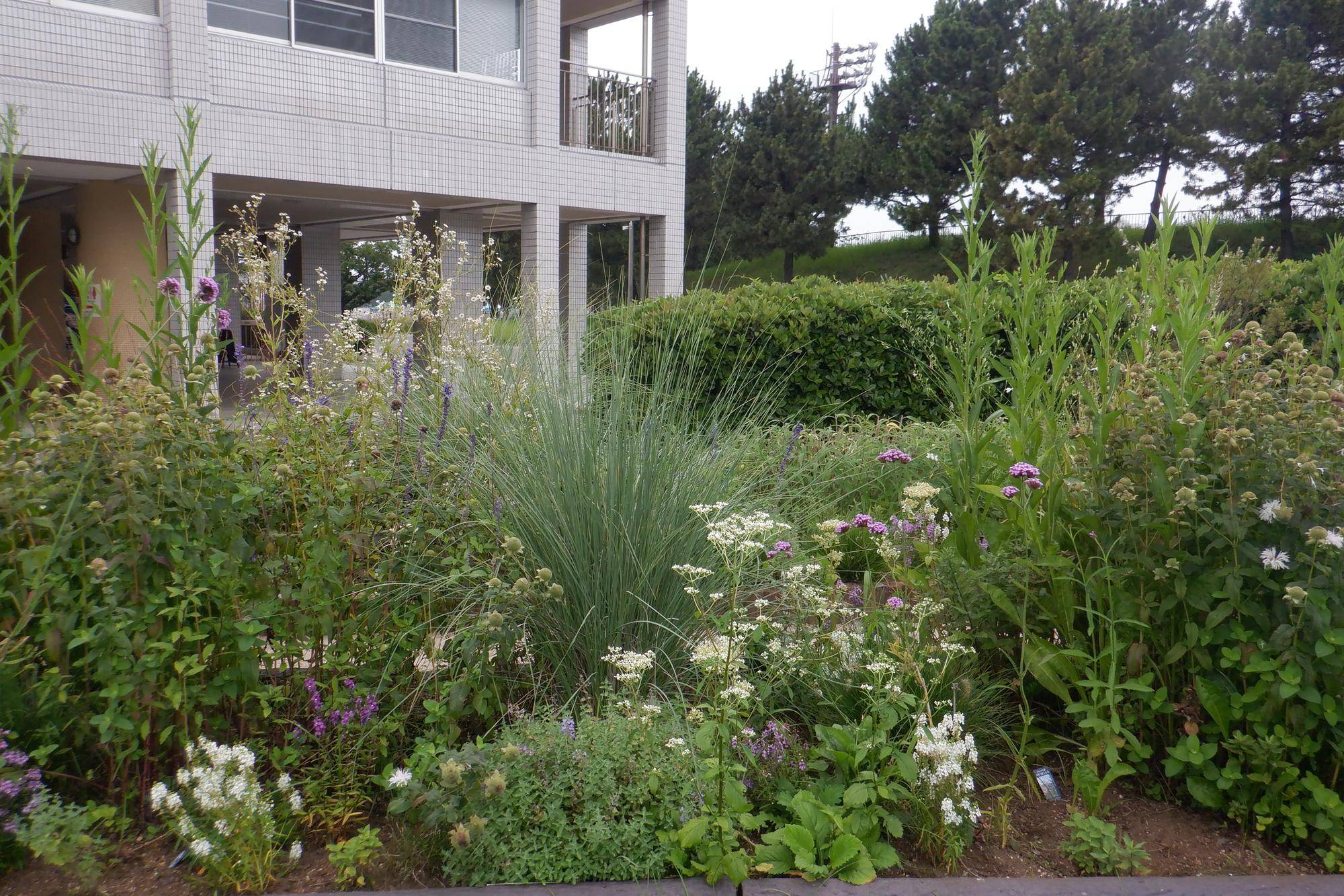 DSCF0934.jpg