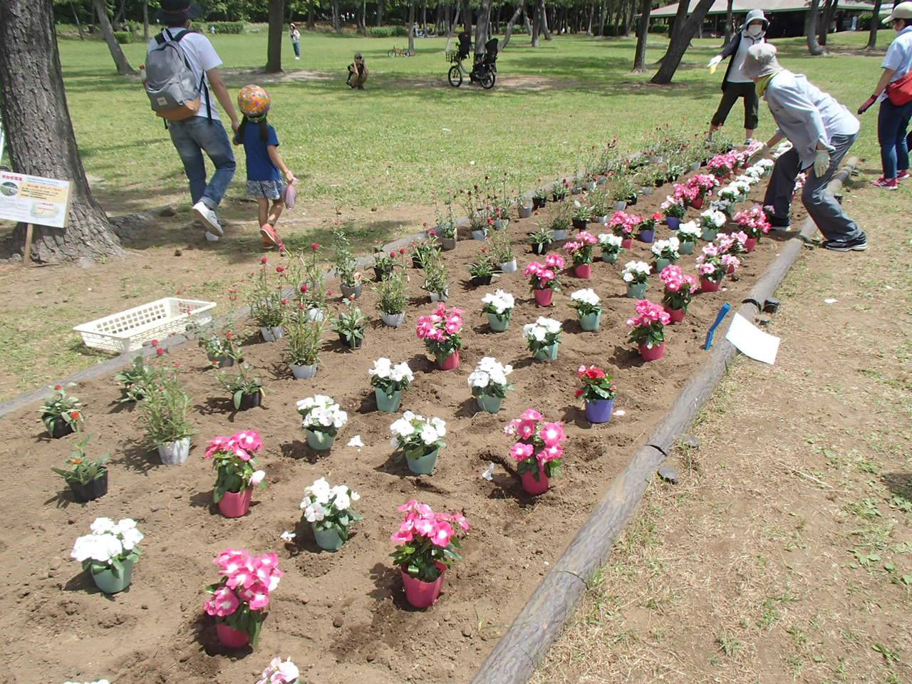 花植え色合わせ