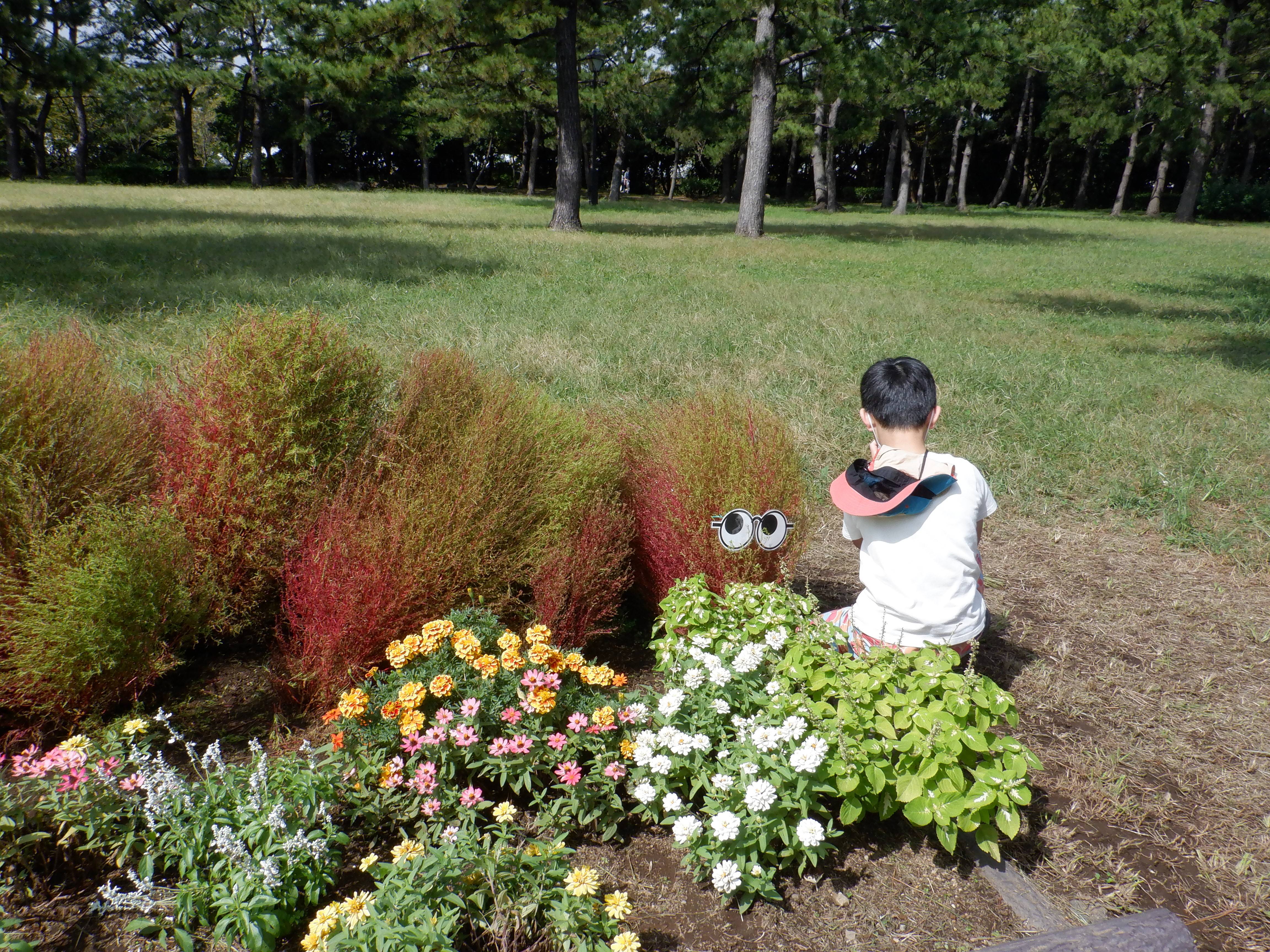 南口休憩所前の花壇をきれいにしました ブログ 海の公園公式サイト 公益財団法人 横浜市緑の協会