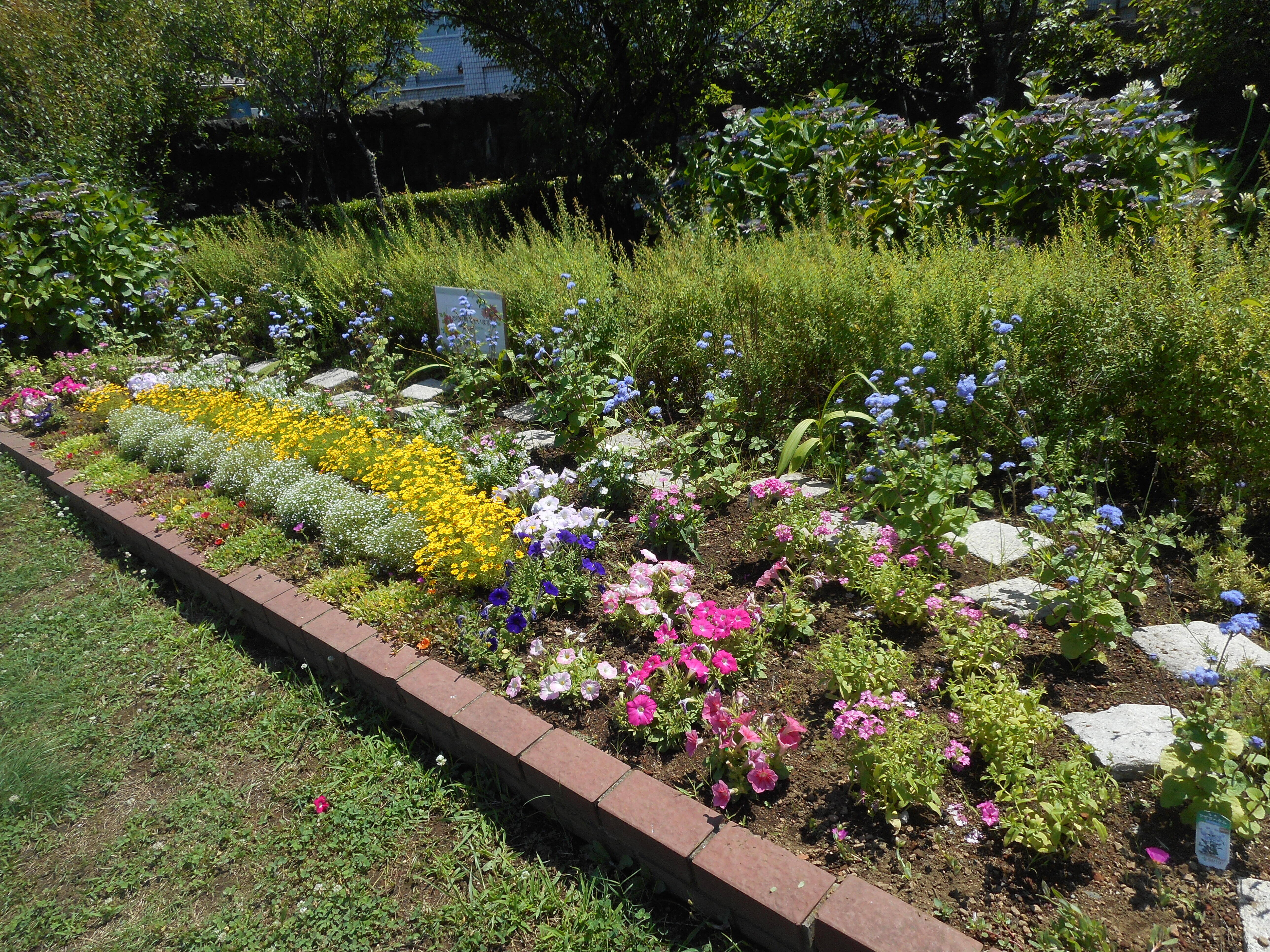 花壇がリニューアル ブログ 海の公園公式サイト 公益財団法人 横浜市緑の協会