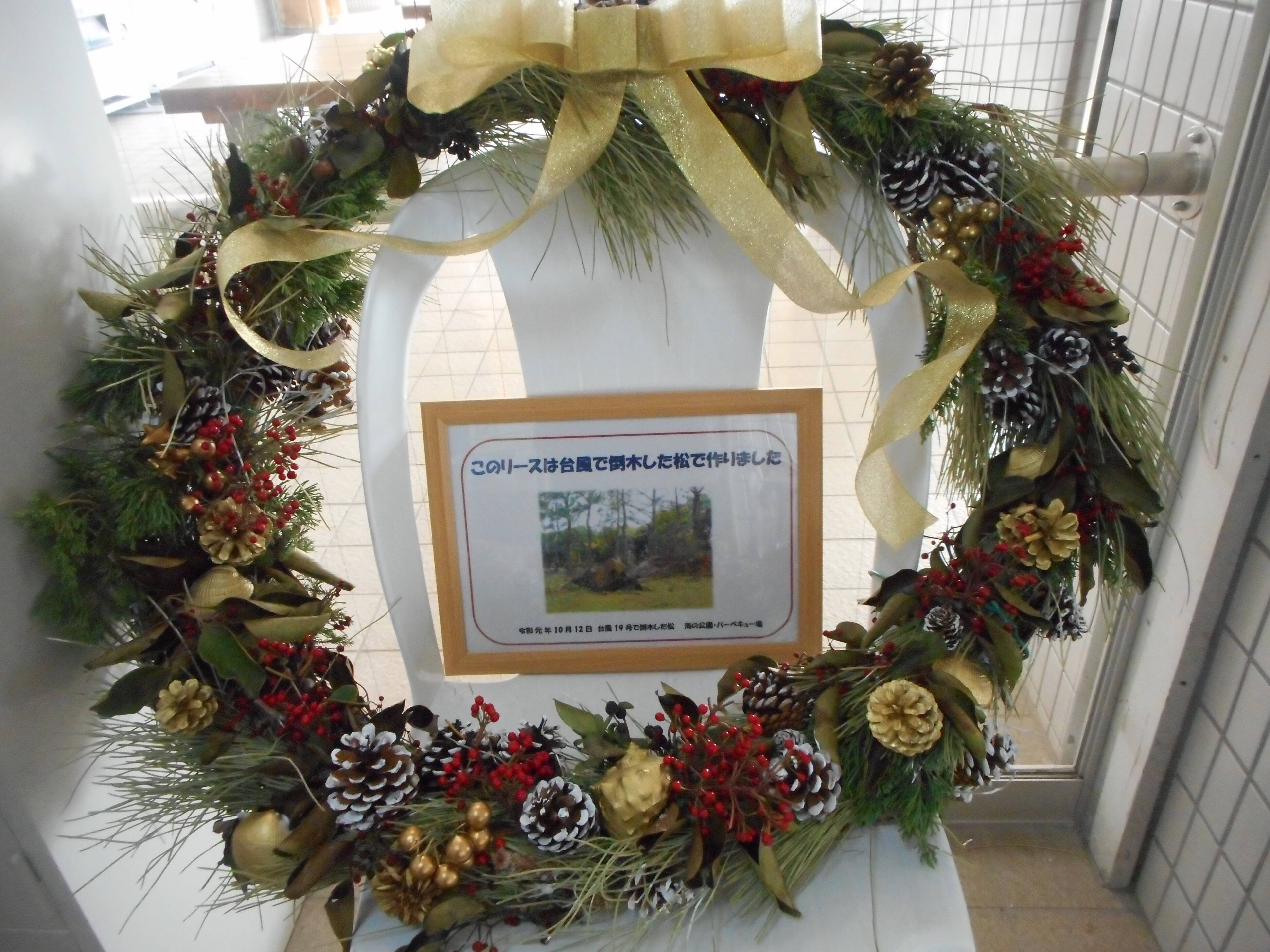 クリスマス仕様になりました ブログ 海の公園公式サイト 公益財団法人 横浜市緑の協会