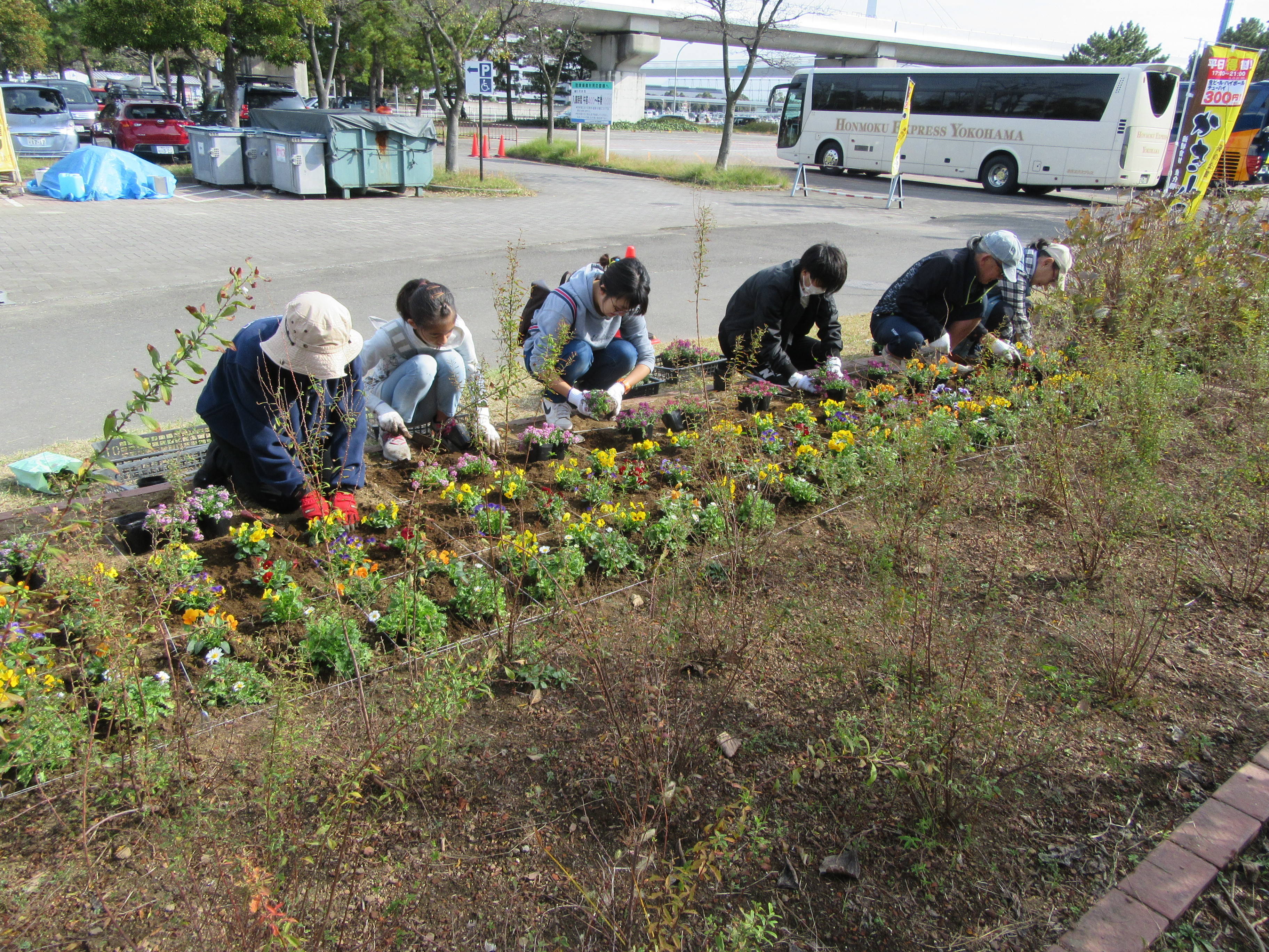 花植えボランティア ブログ 海の公園公式サイト 公益財団法人 横浜市緑の協会