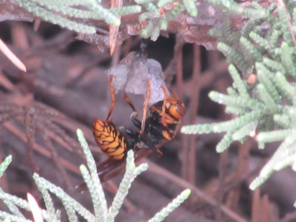 IMG_8460.jpg