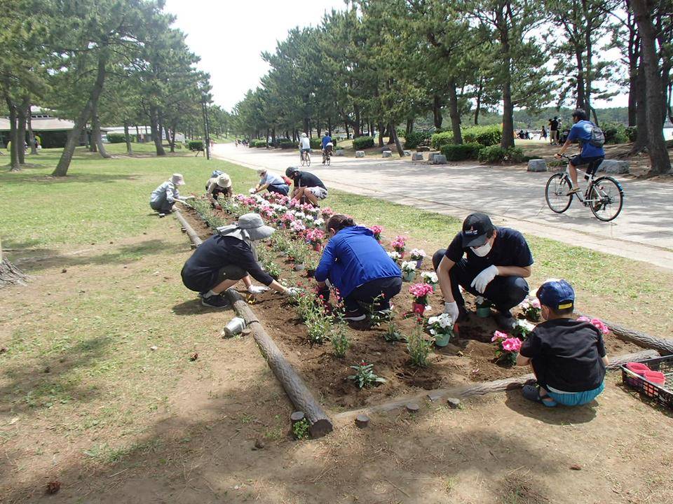 ボランティア花苗植え