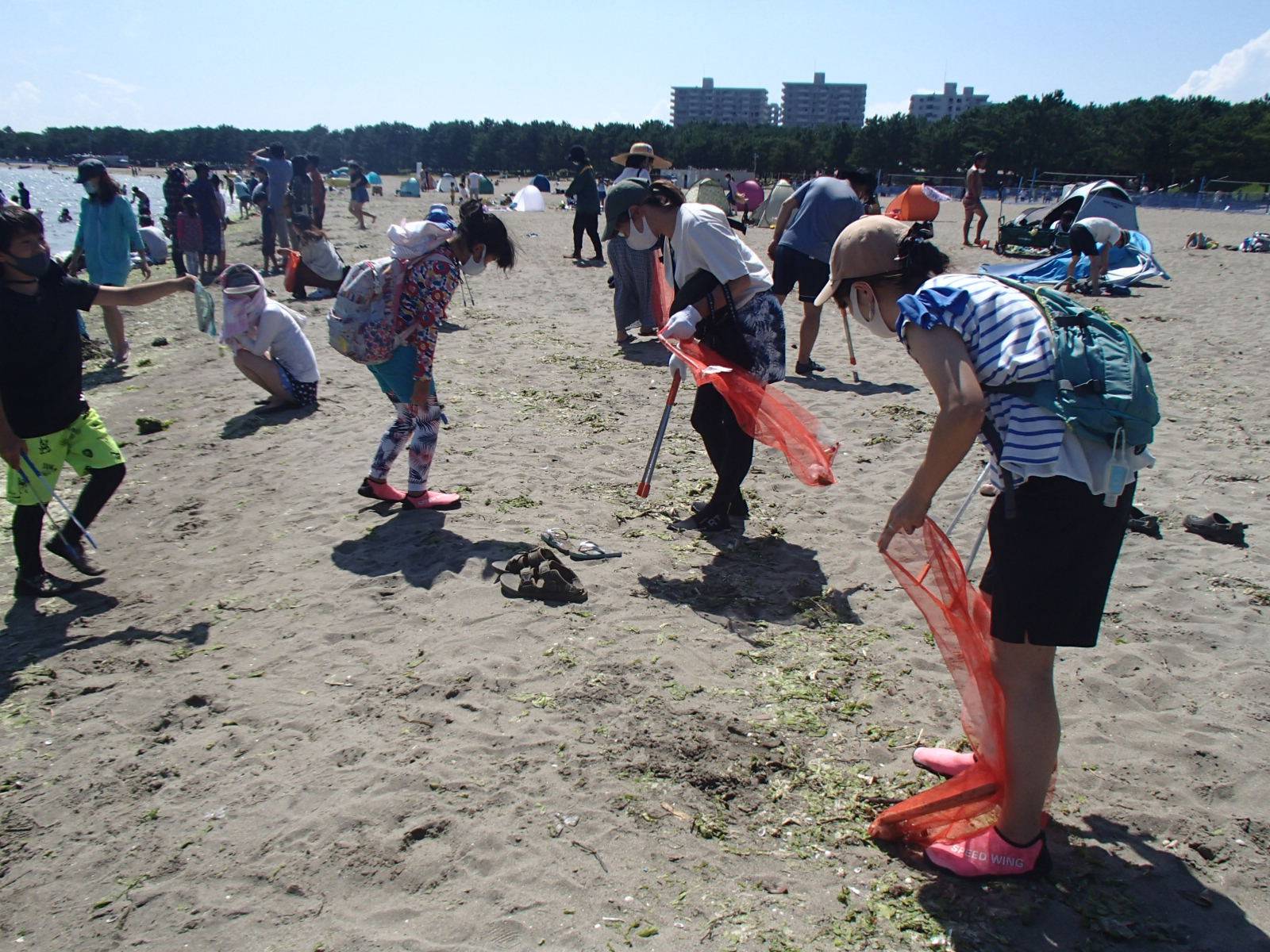 ビーチクリーン