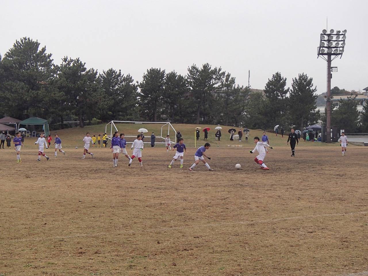 PC050024.jpg