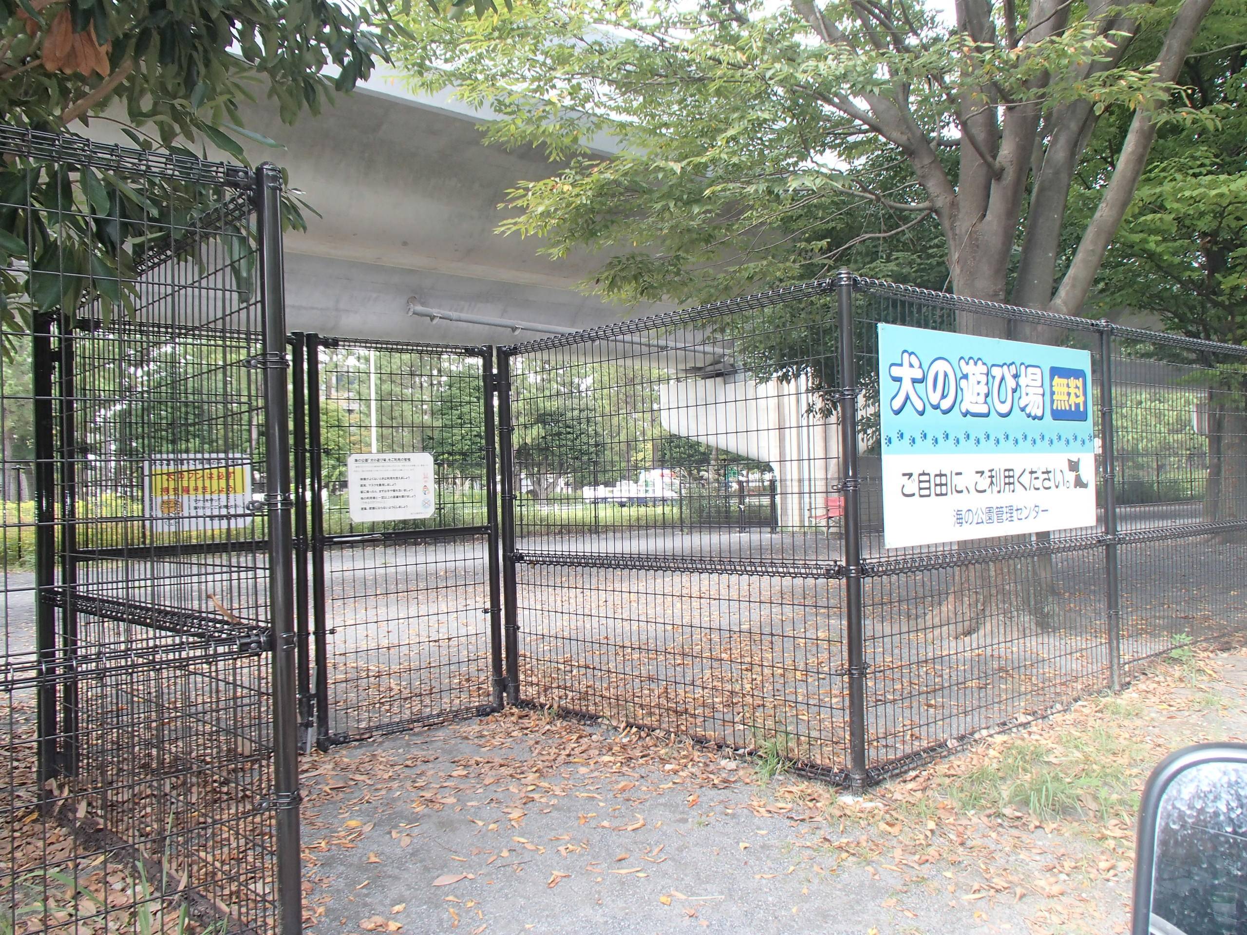 犬の遊び場 ブログ 海の公園公式サイト 公益財団法人 横浜市緑の協会