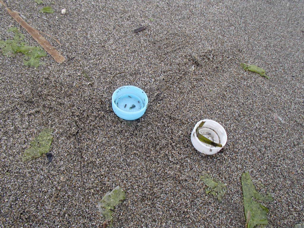 ペットボトルキャップ ２.JPG