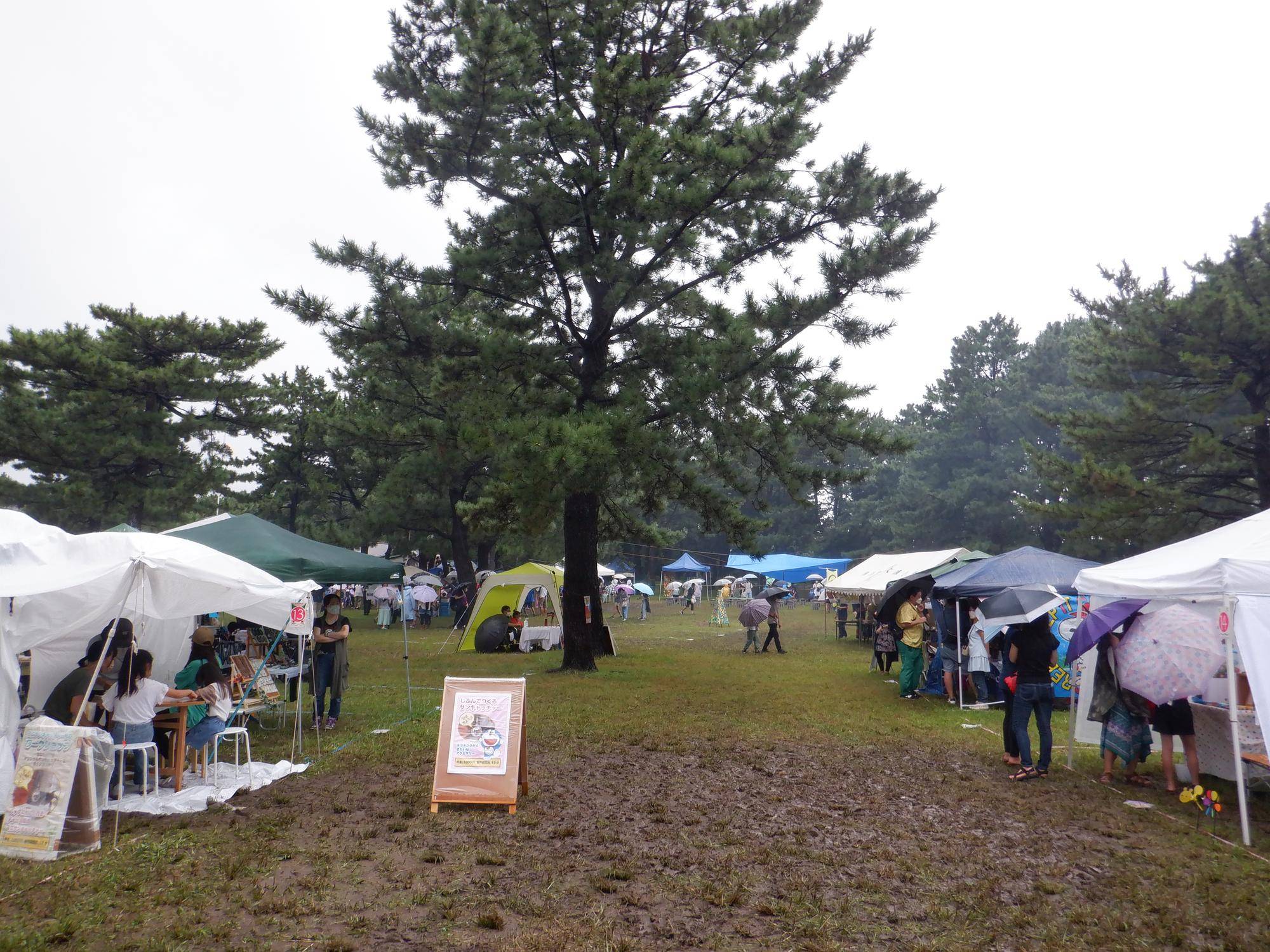 DSCF6937.jpg