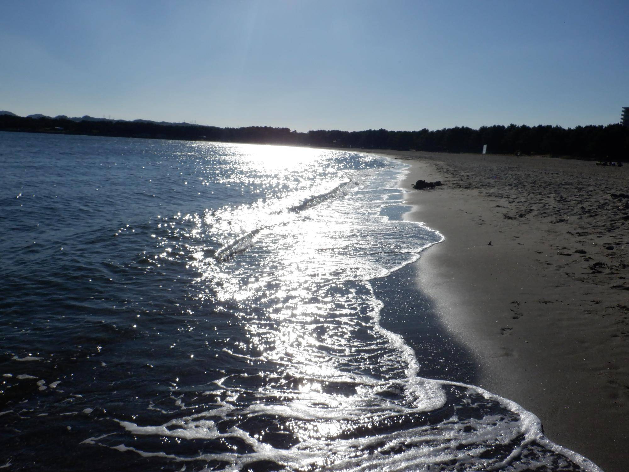 DSCF8020.jpg
