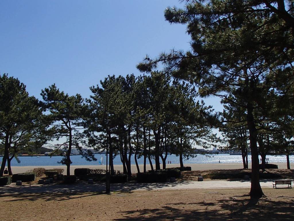 P2190034.jpg