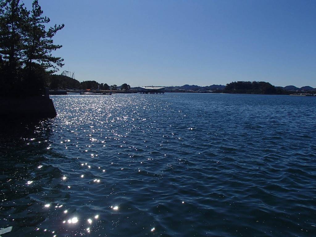 P2190019.jpg