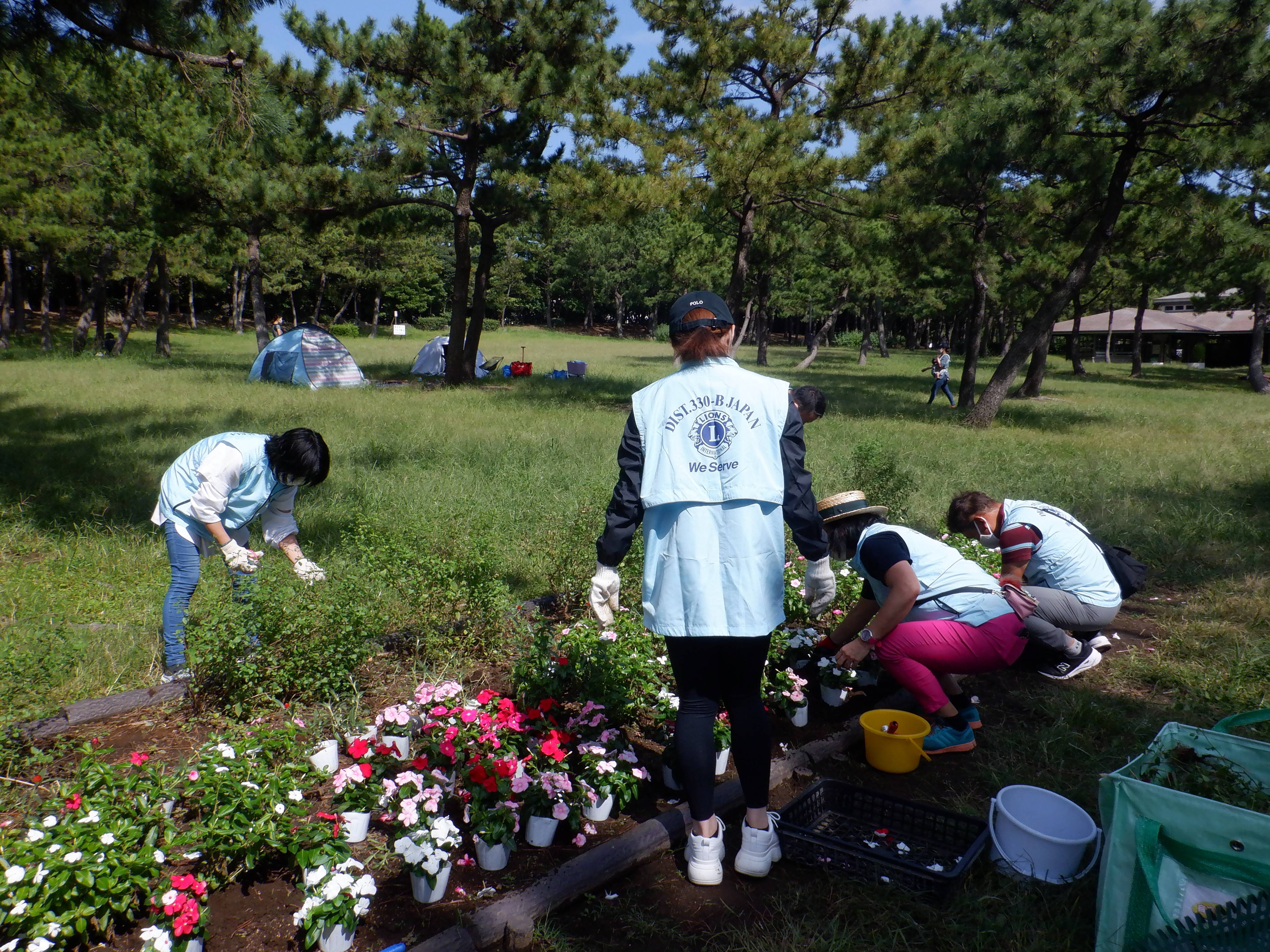 ボランティアで花植え活動 ブログ 海の公園公式サイト 公益財団法人 横浜市緑の協会