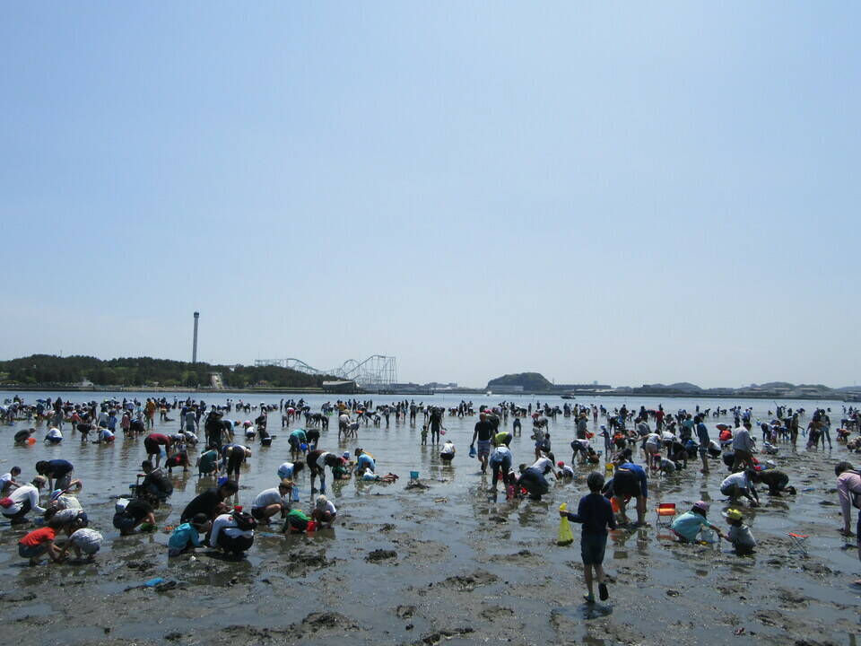 19海の公園 潮干狩り 報告 4月日号 潮干狩り 海の公園公式サイト 公益財団法人 横浜市緑の協会