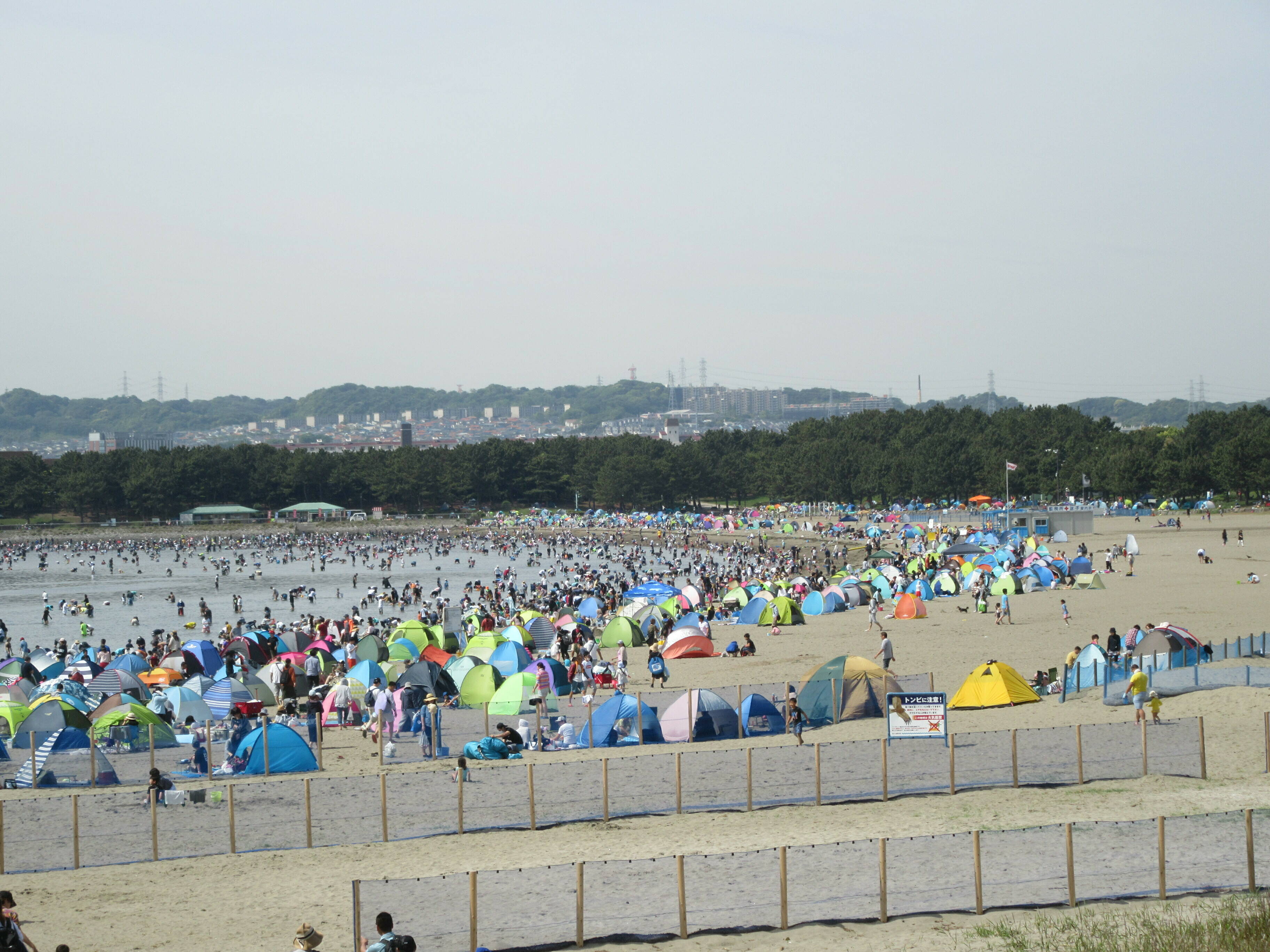 19海の公園 潮干狩り 報告 5月3日号 潮干狩り 海の公園公式サイト 公益財団法人 横浜市緑の協会