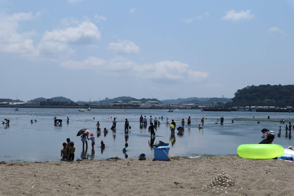 海の公園は夏本番 ブログ 海の公園公式サイト 公益財団法人 横浜市緑の協会