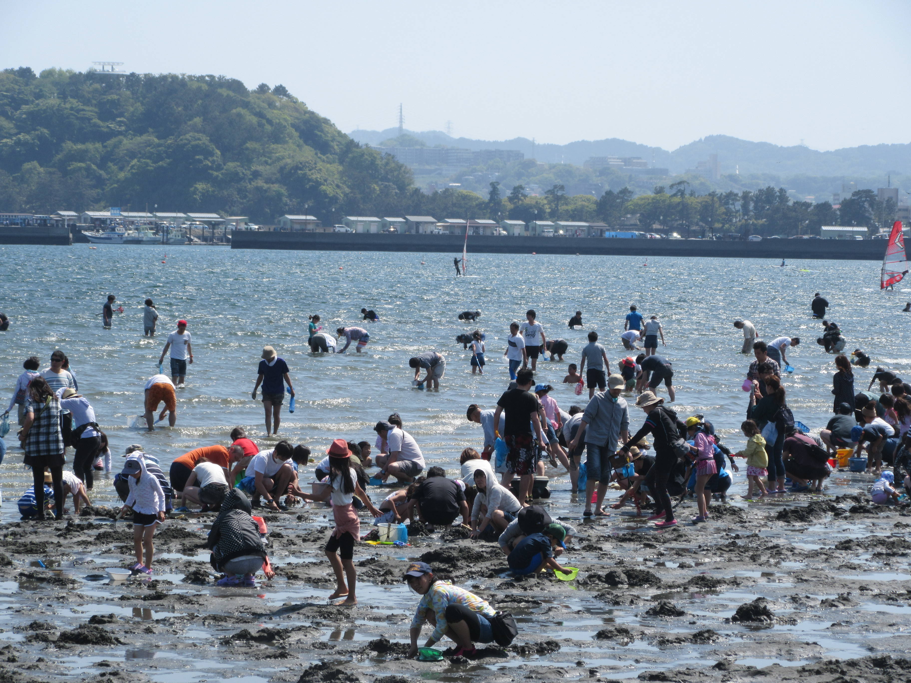 18海の公園 潮干狩り 報告 4月21日号 潮干狩り 海の公園公式サイト 公益財団法人 横浜市緑の協会