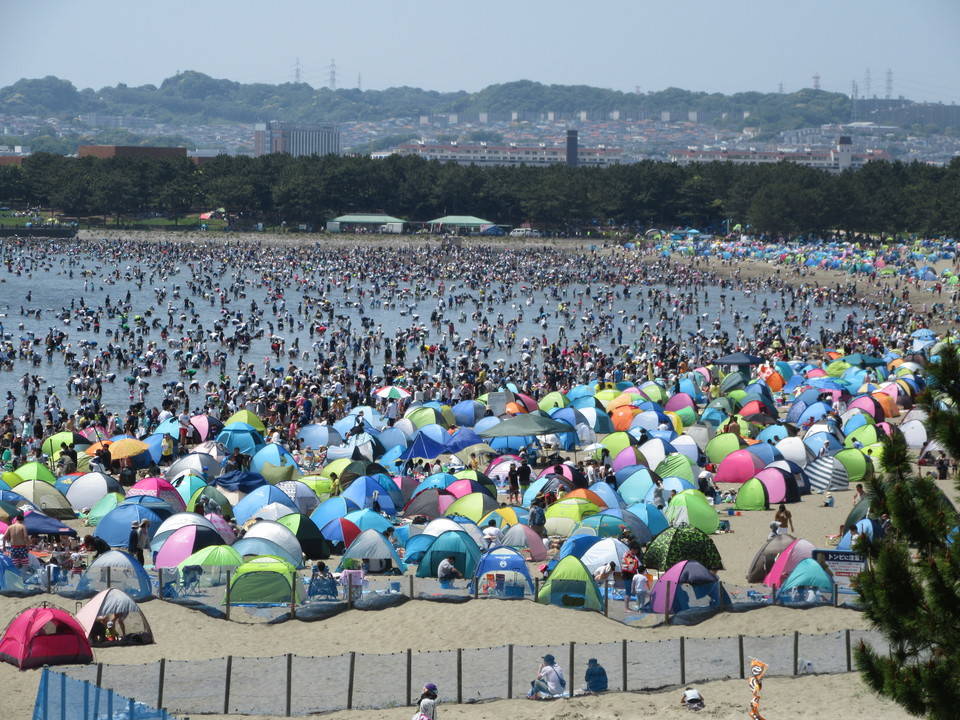 18海の公園 潮干狩り 報告 4月29日号 潮干狩り 海の公園公式サイト 公益財団法人 横浜市緑の協会