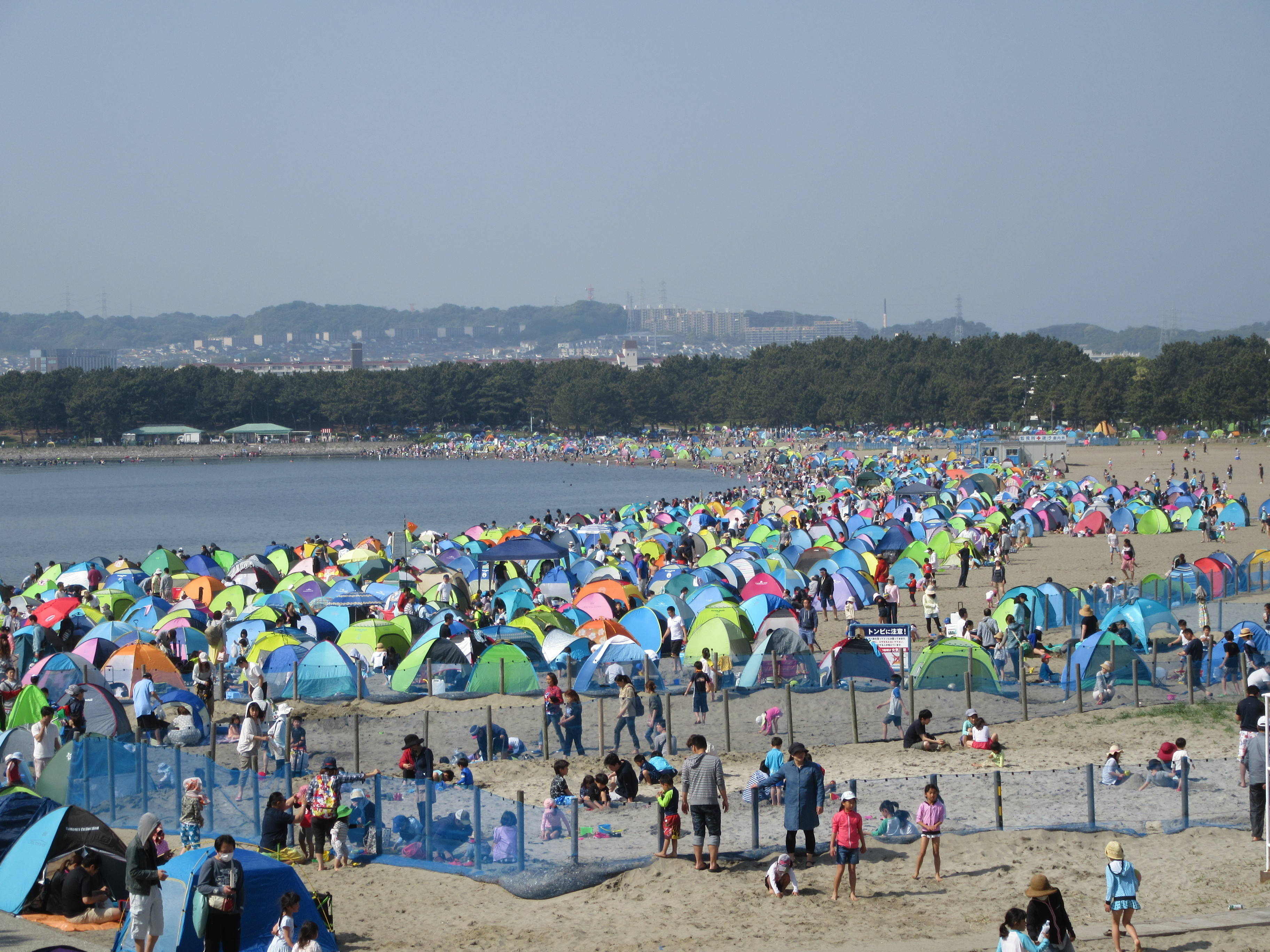 17海の公園 潮干狩り 報告 4月29日号 潮干狩り 海の公園公式サイト 公益財団法人 横浜市緑の協会