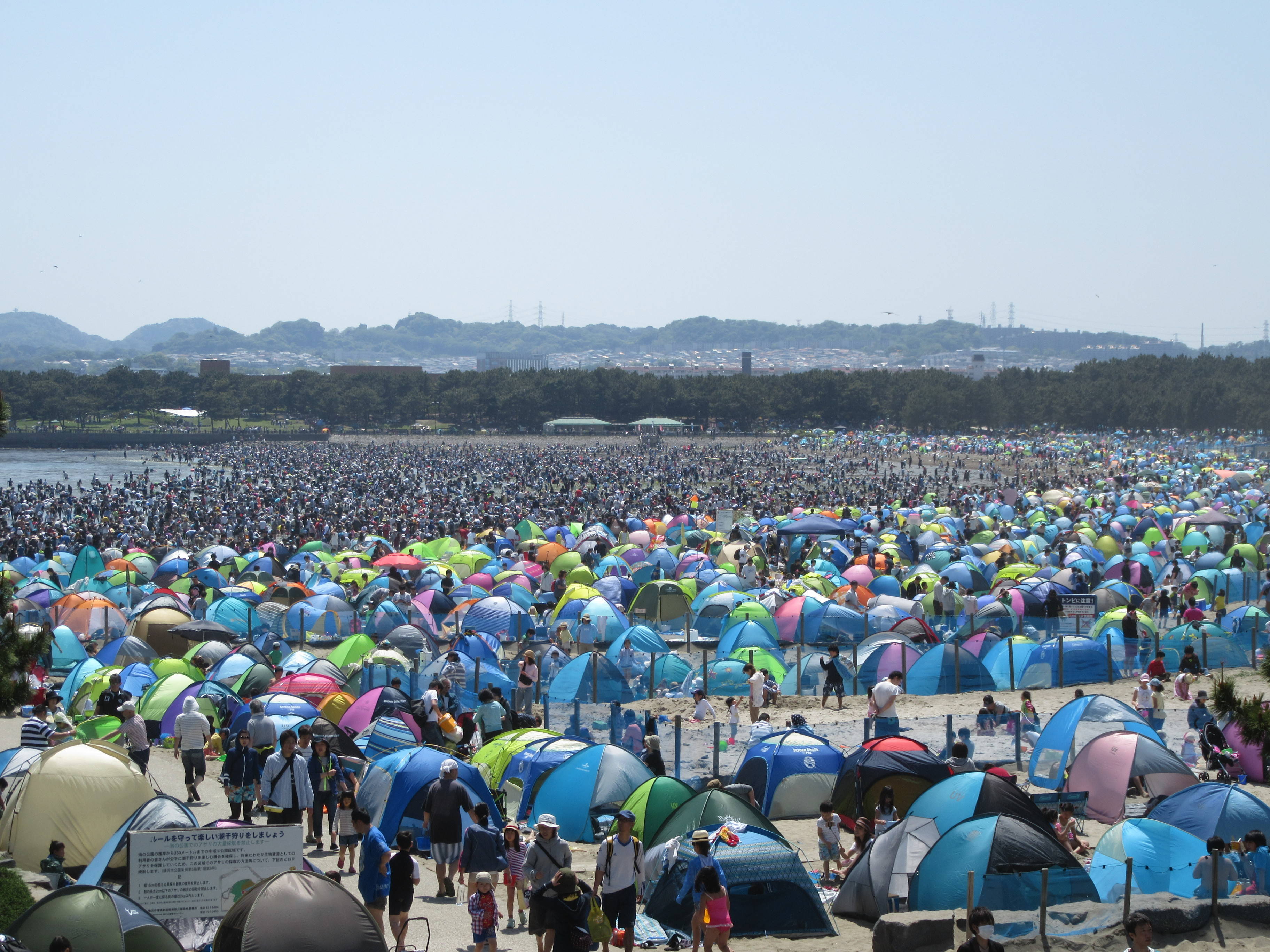 17海の公園 潮干狩り 報告 4月29日号 潮干狩り 海の公園公式サイト 公益財団法人 横浜市緑の協会