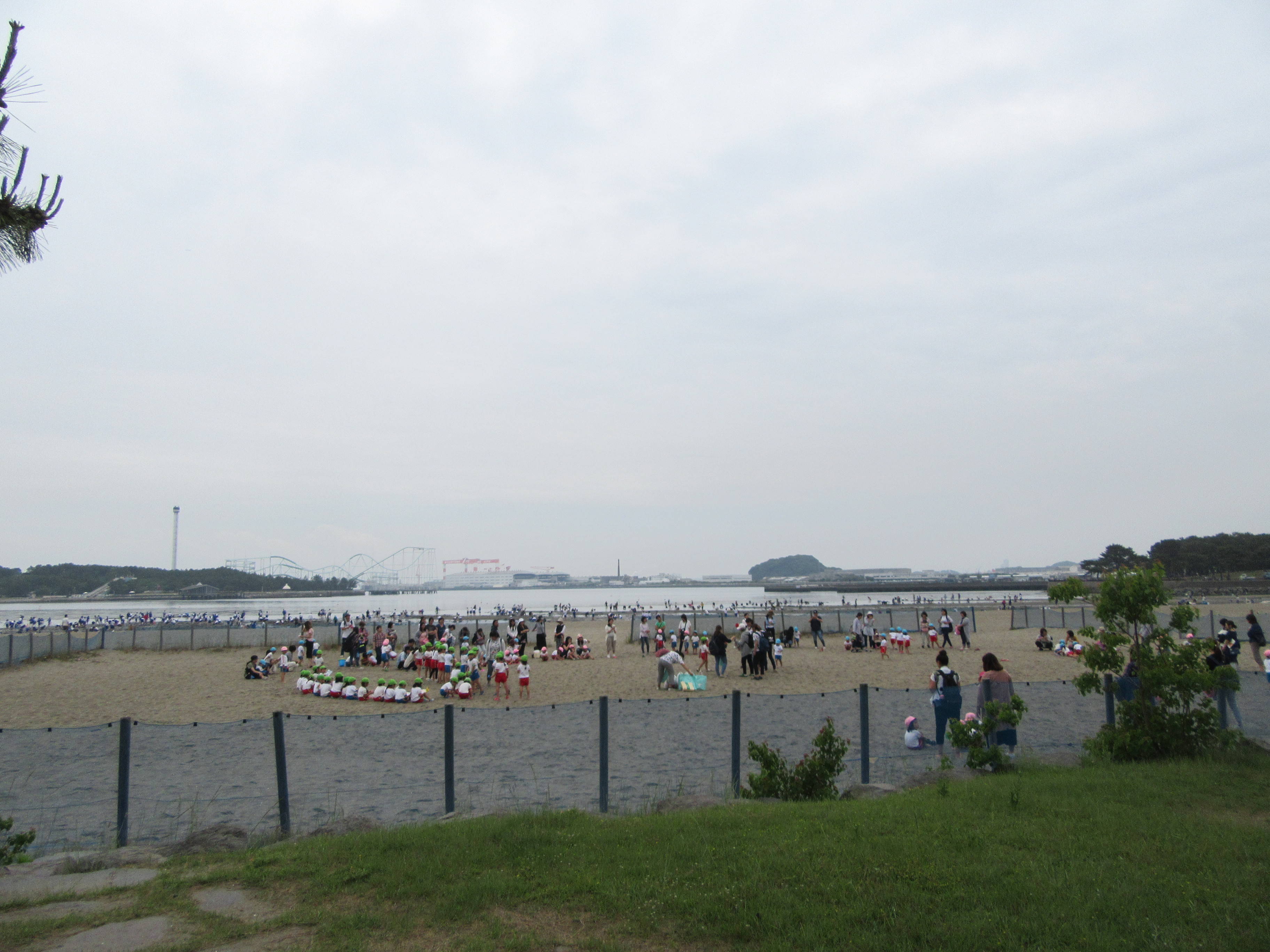 17海の公園 潮干狩り 報告 5月25日号 潮干狩り 海の公園公式サイト 公益財団法人 横浜市緑の協会