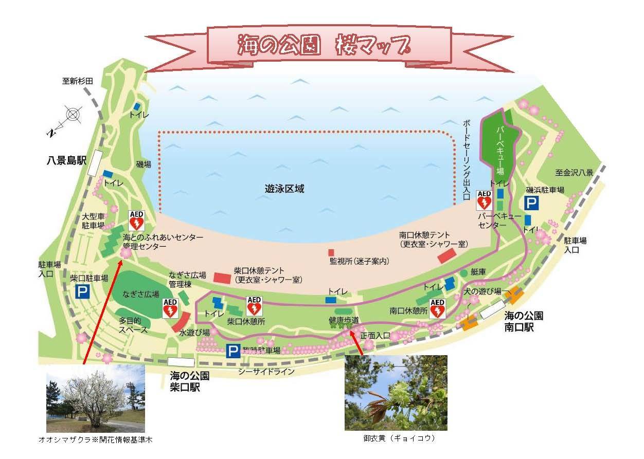 海の公園サクラMAP.jpg