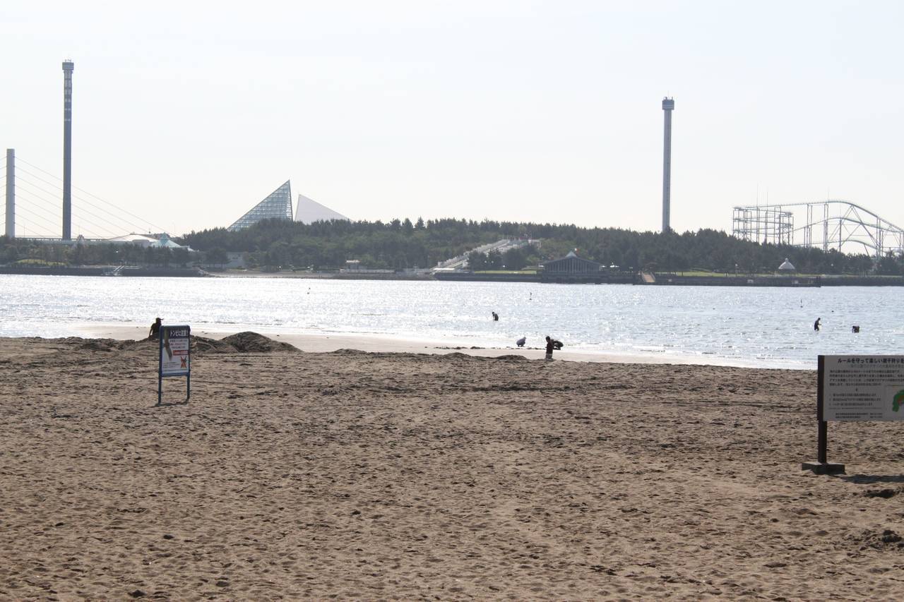 海の公園の写真