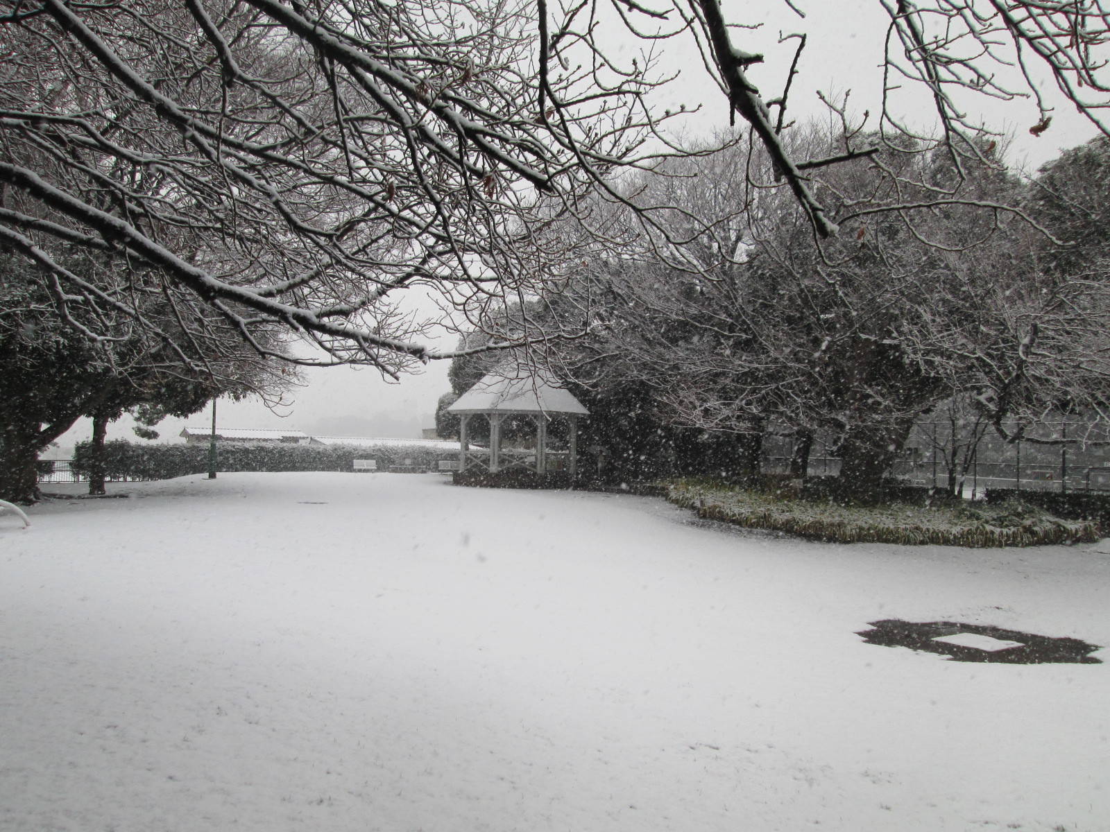 雪の山手公園の写真